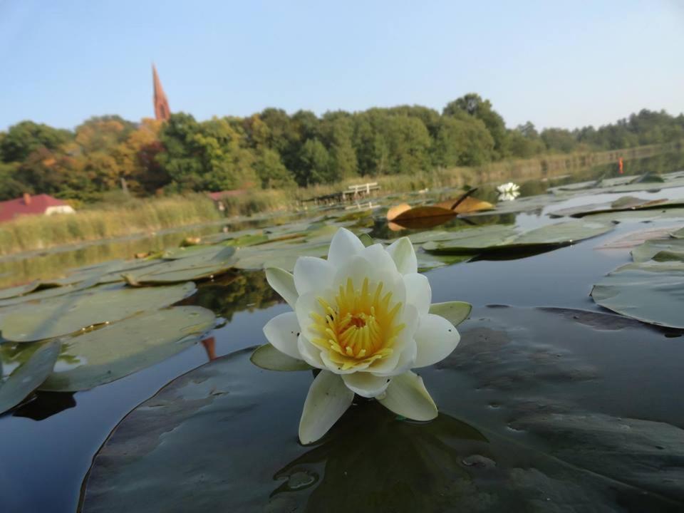 Agroturystyka Chycina Экстерьер фото